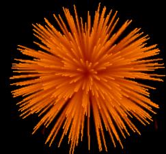 Fireworks Simulation Screenshot